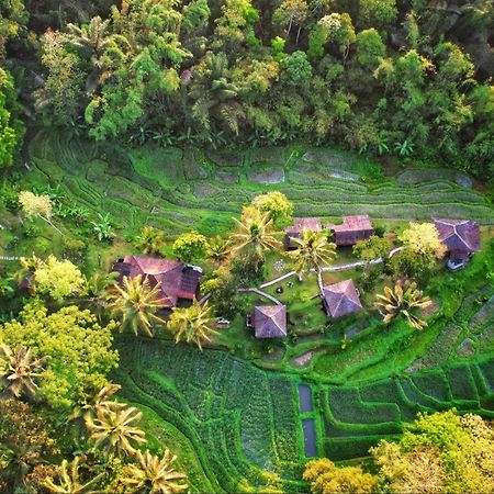 Vila Oemah Tepi Sawah Jatiluwih Exteriér fotografie