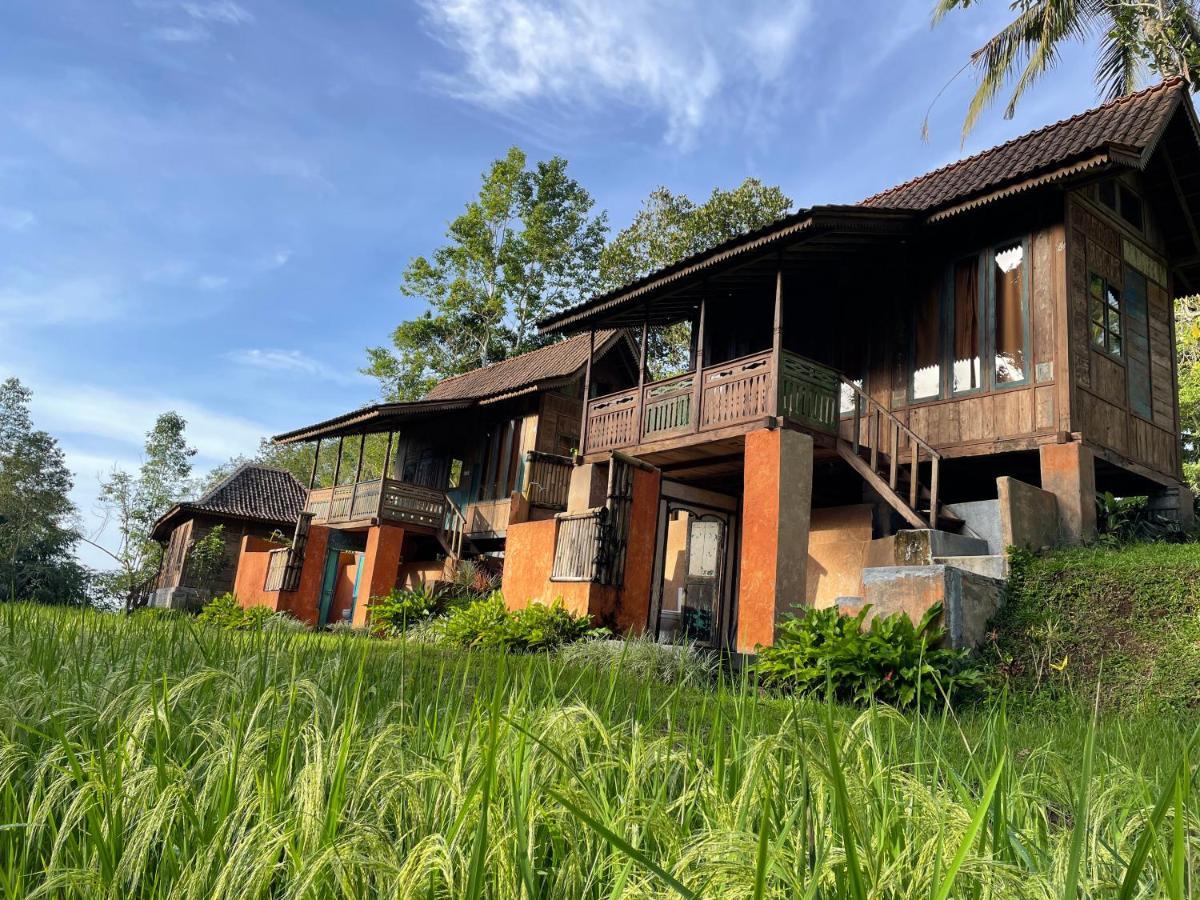 Vila Oemah Tepi Sawah Jatiluwih Exteriér fotografie