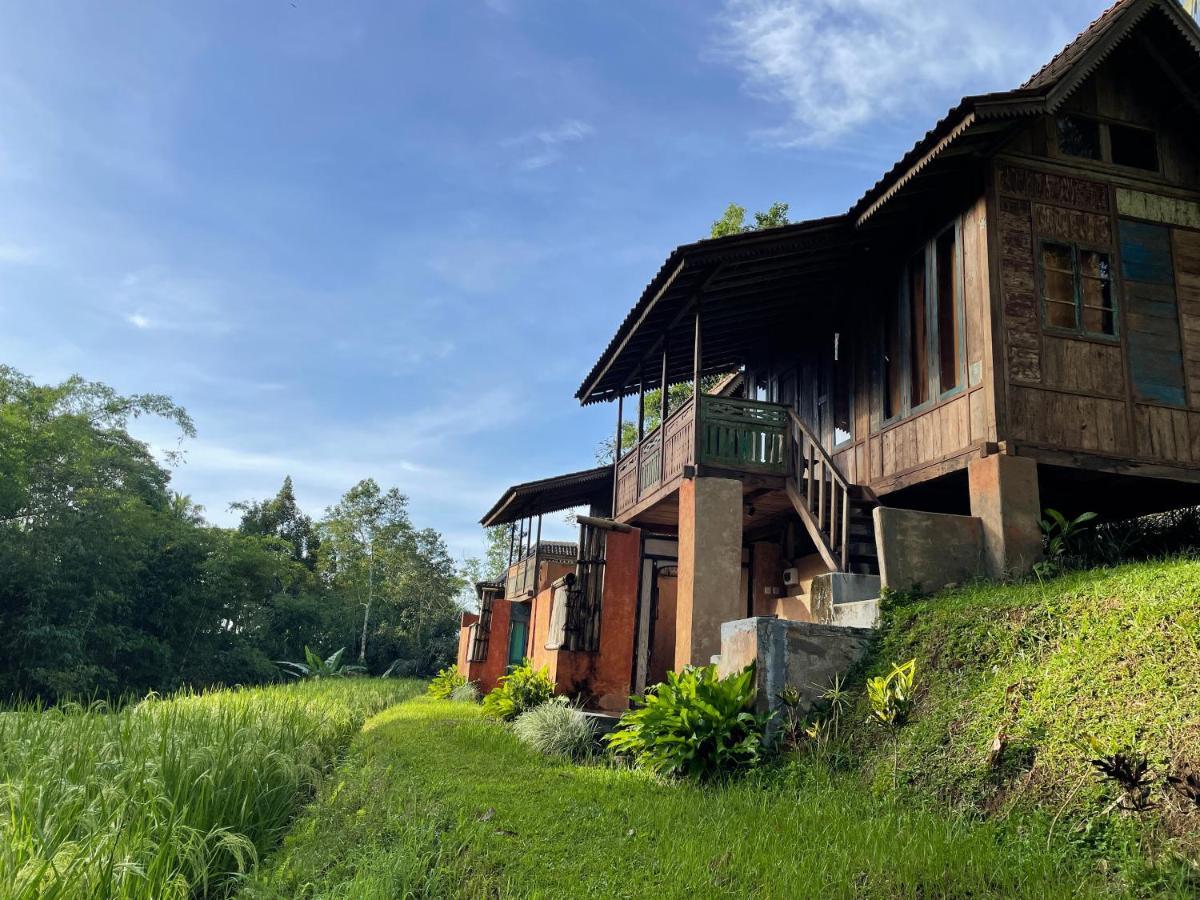 Vila Oemah Tepi Sawah Jatiluwih Exteriér fotografie