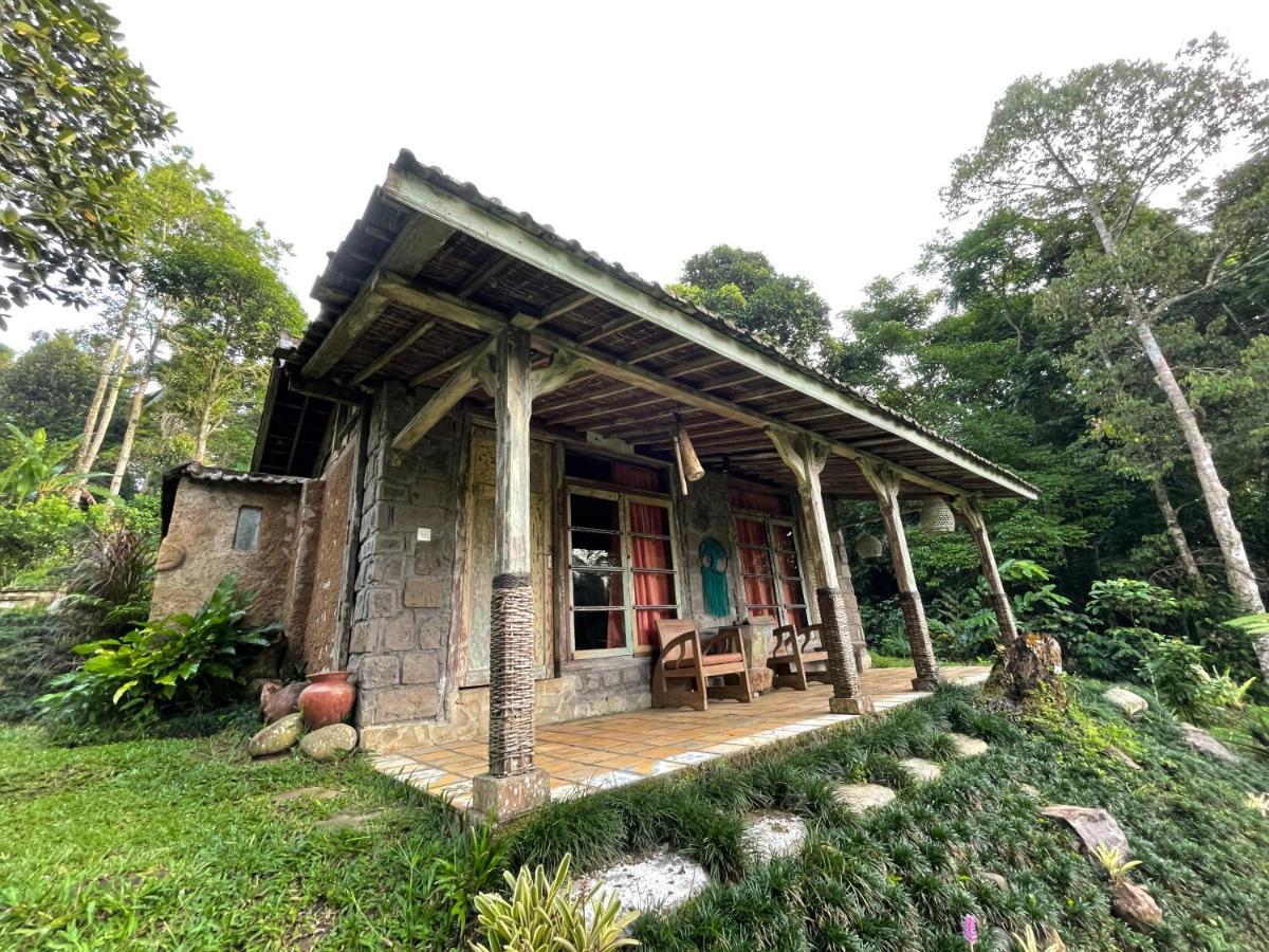 Vila Oemah Tepi Sawah Jatiluwih Exteriér fotografie
