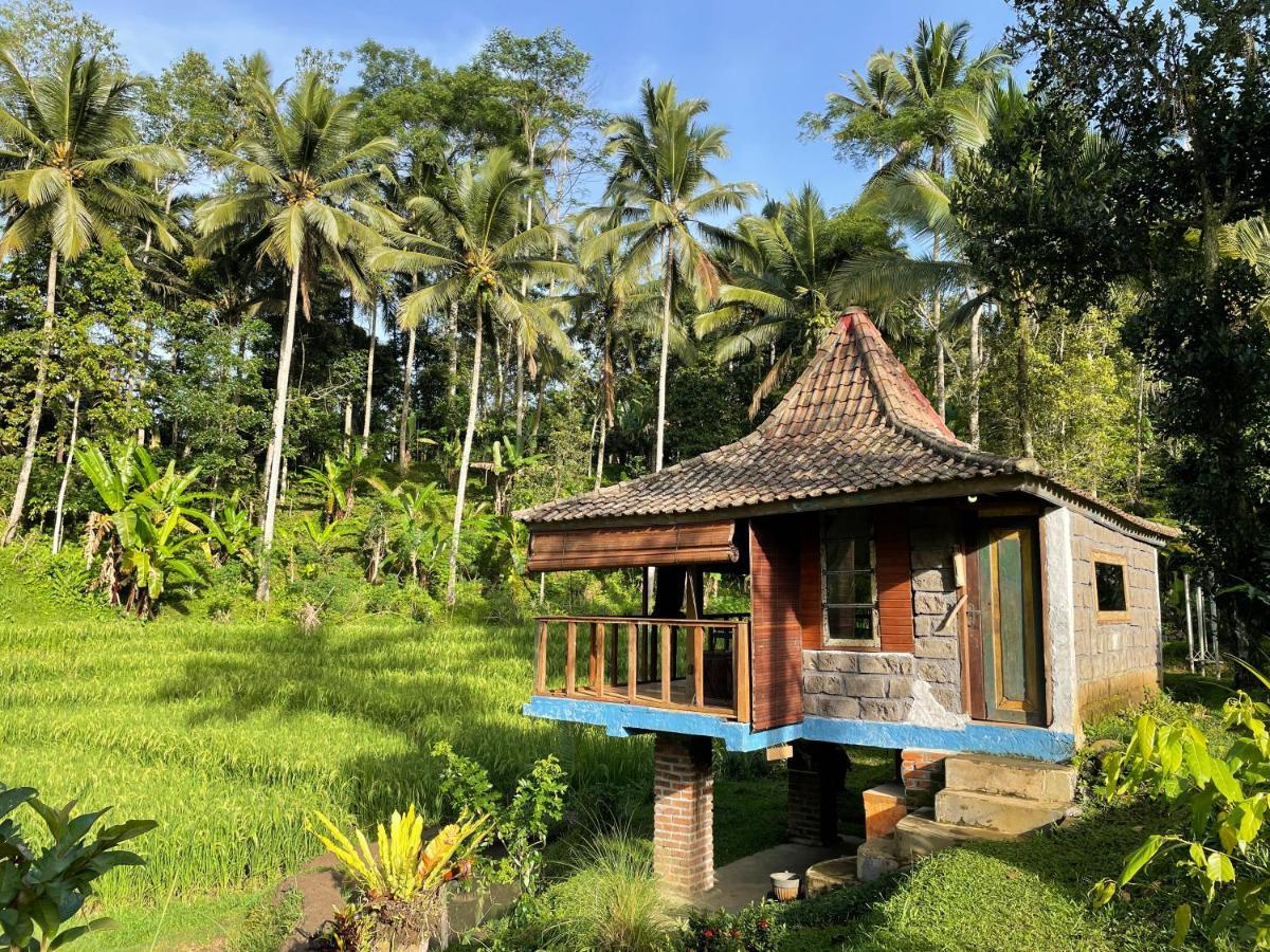 Vila Oemah Tepi Sawah Jatiluwih Exteriér fotografie