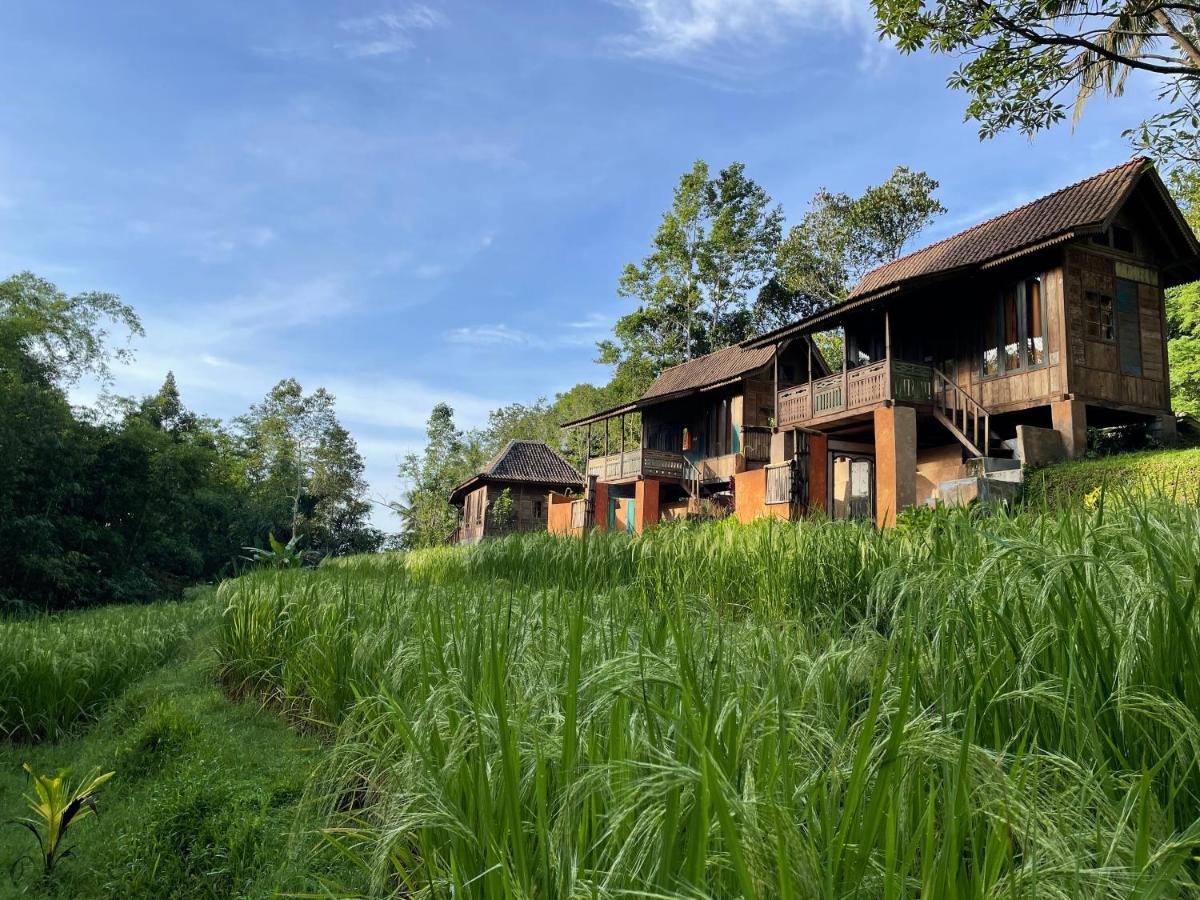 Vila Oemah Tepi Sawah Jatiluwih Exteriér fotografie