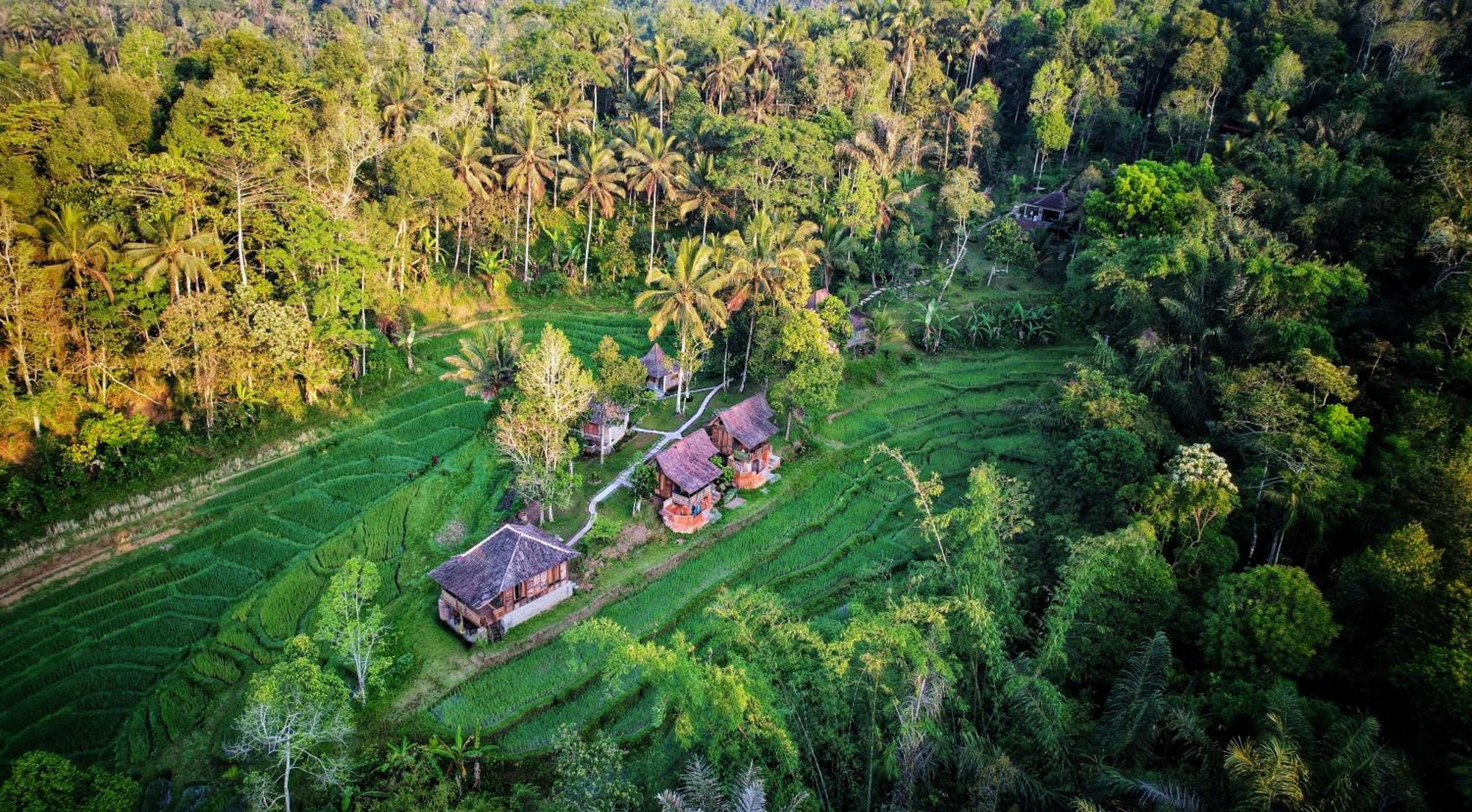 Vila Oemah Tepi Sawah Jatiluwih Exteriér fotografie