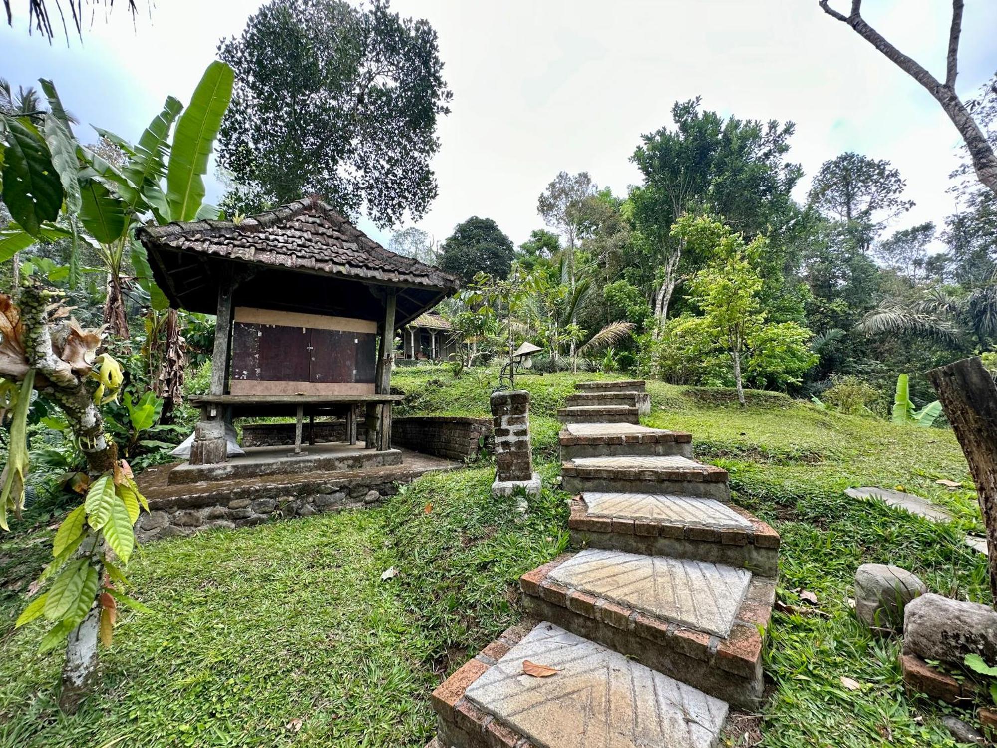 Vila Oemah Tepi Sawah Jatiluwih Exteriér fotografie