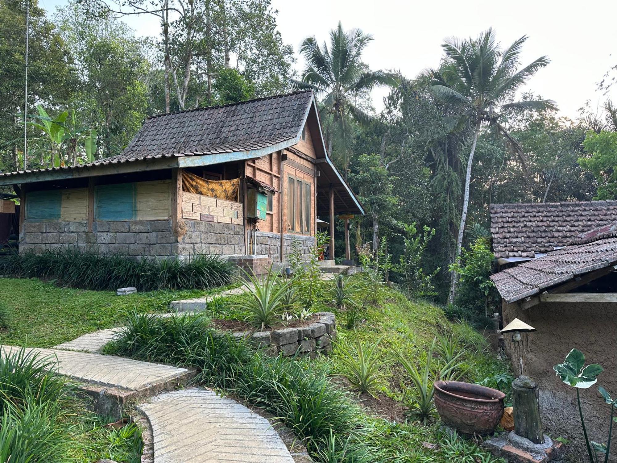 Vila Oemah Tepi Sawah Jatiluwih Exteriér fotografie