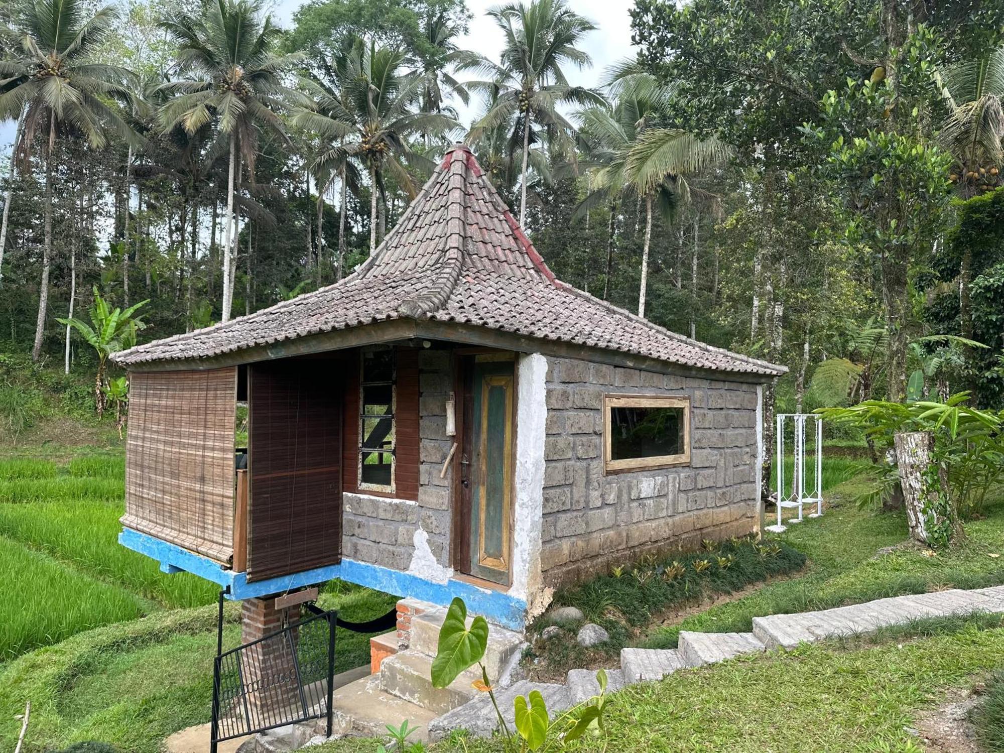 Vila Oemah Tepi Sawah Jatiluwih Exteriér fotografie