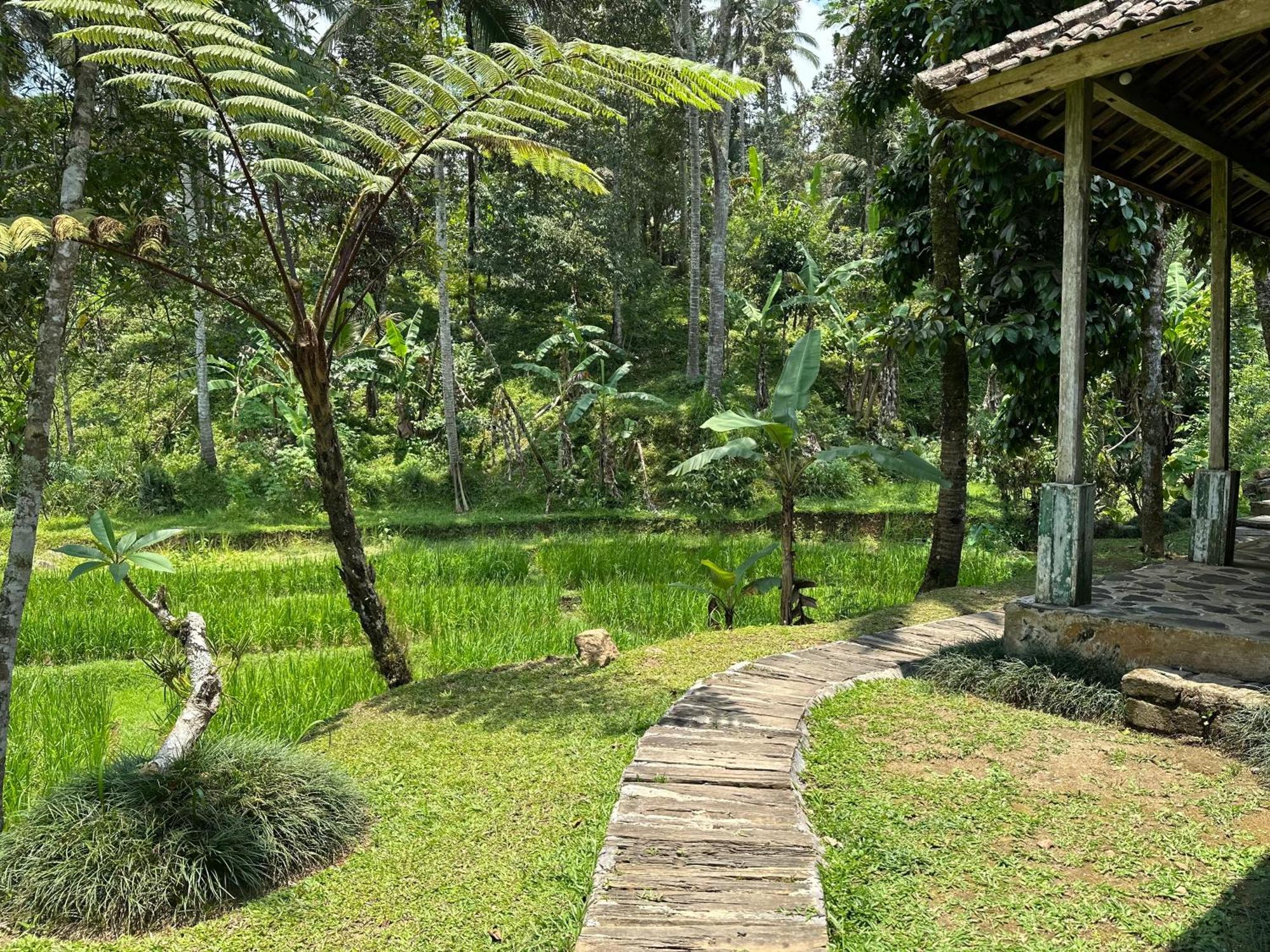 Vila Oemah Tepi Sawah Jatiluwih Exteriér fotografie