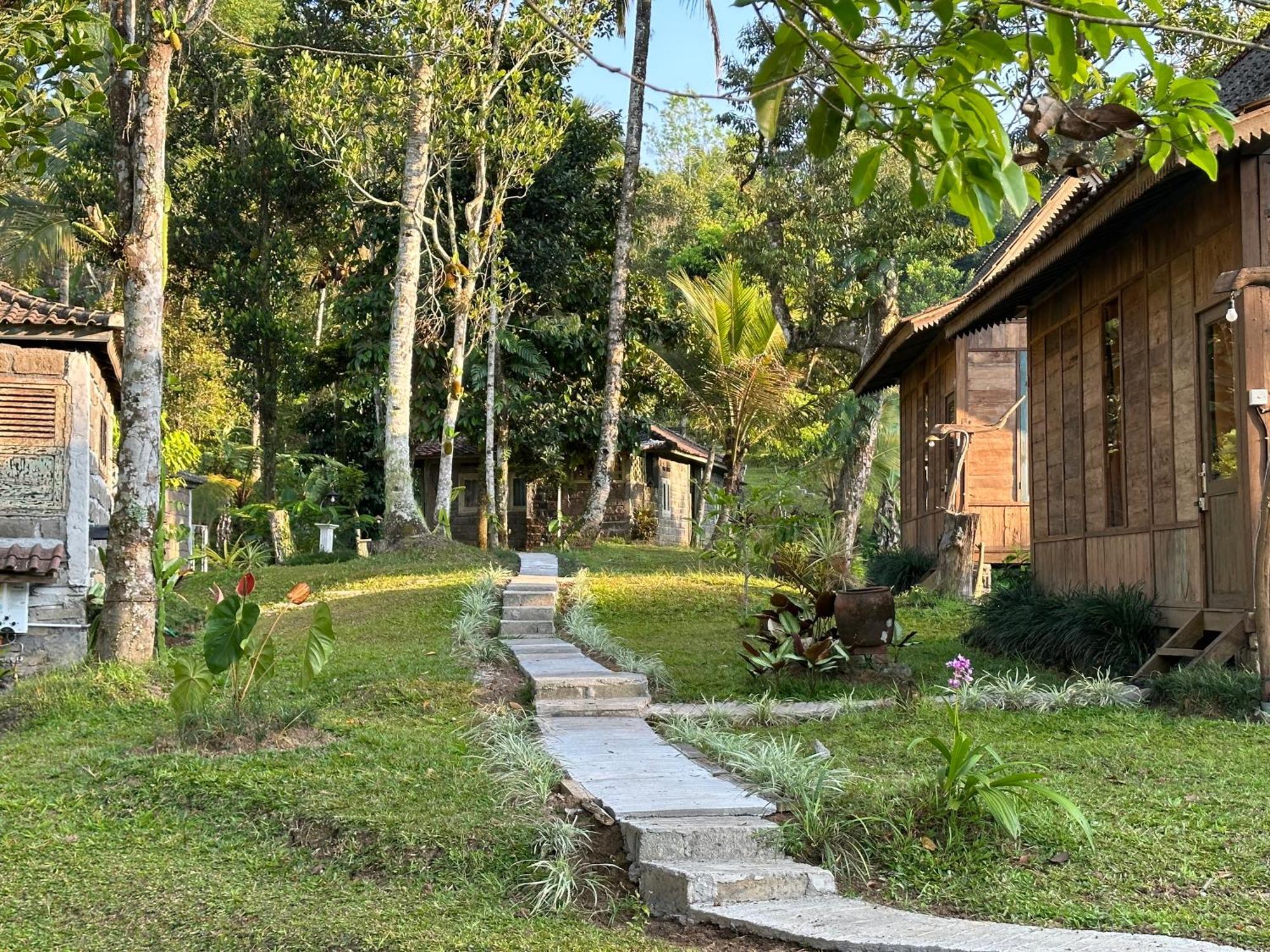 Vila Oemah Tepi Sawah Jatiluwih Exteriér fotografie