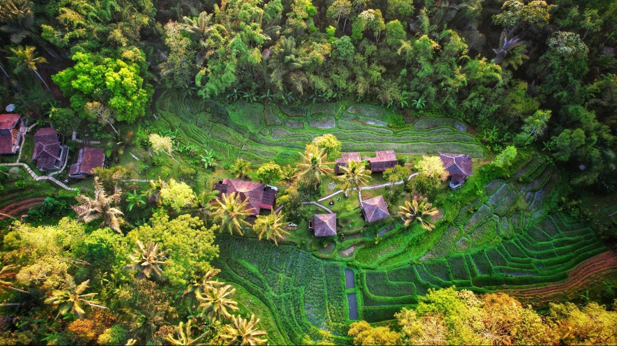 Vila Oemah Tepi Sawah Jatiluwih Exteriér fotografie