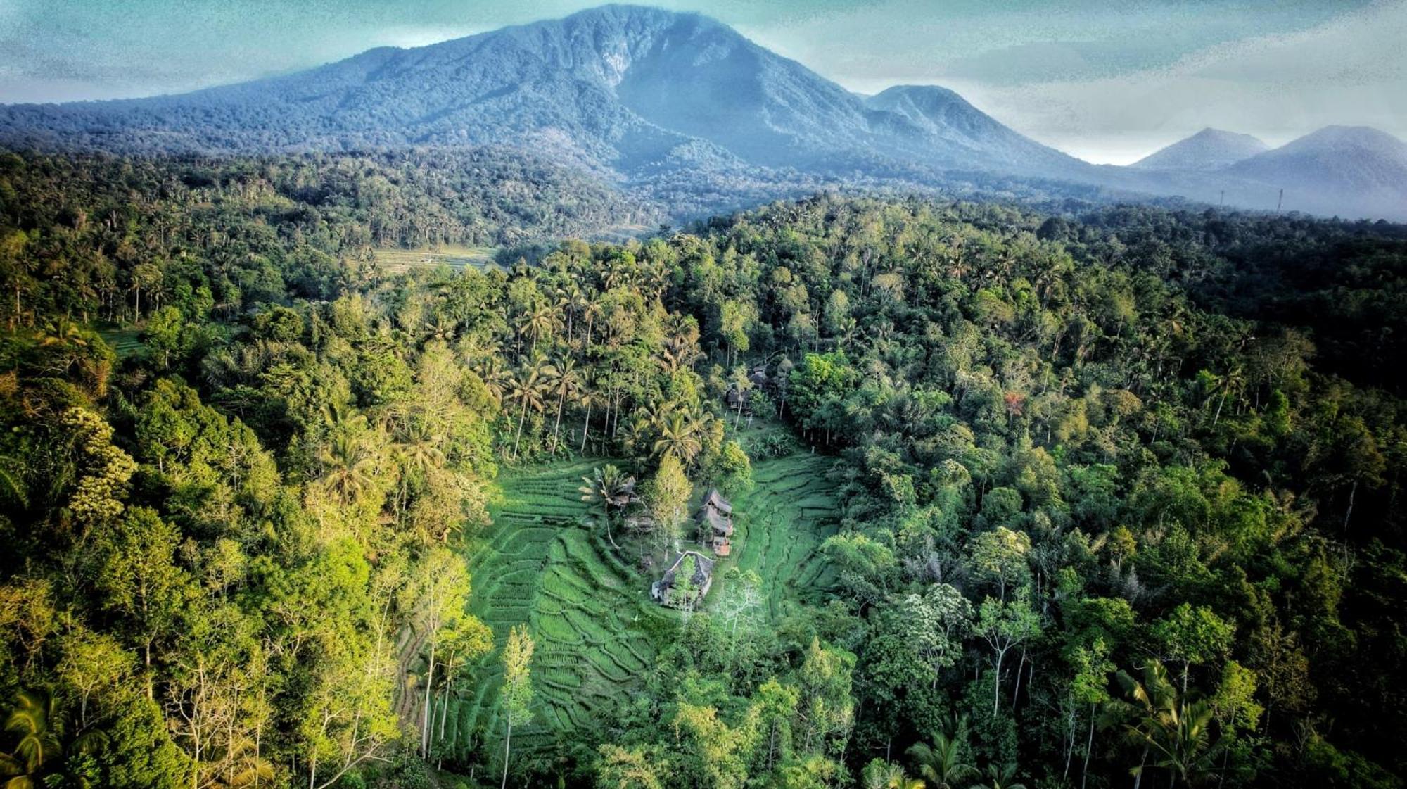 Vila Oemah Tepi Sawah Jatiluwih Exteriér fotografie