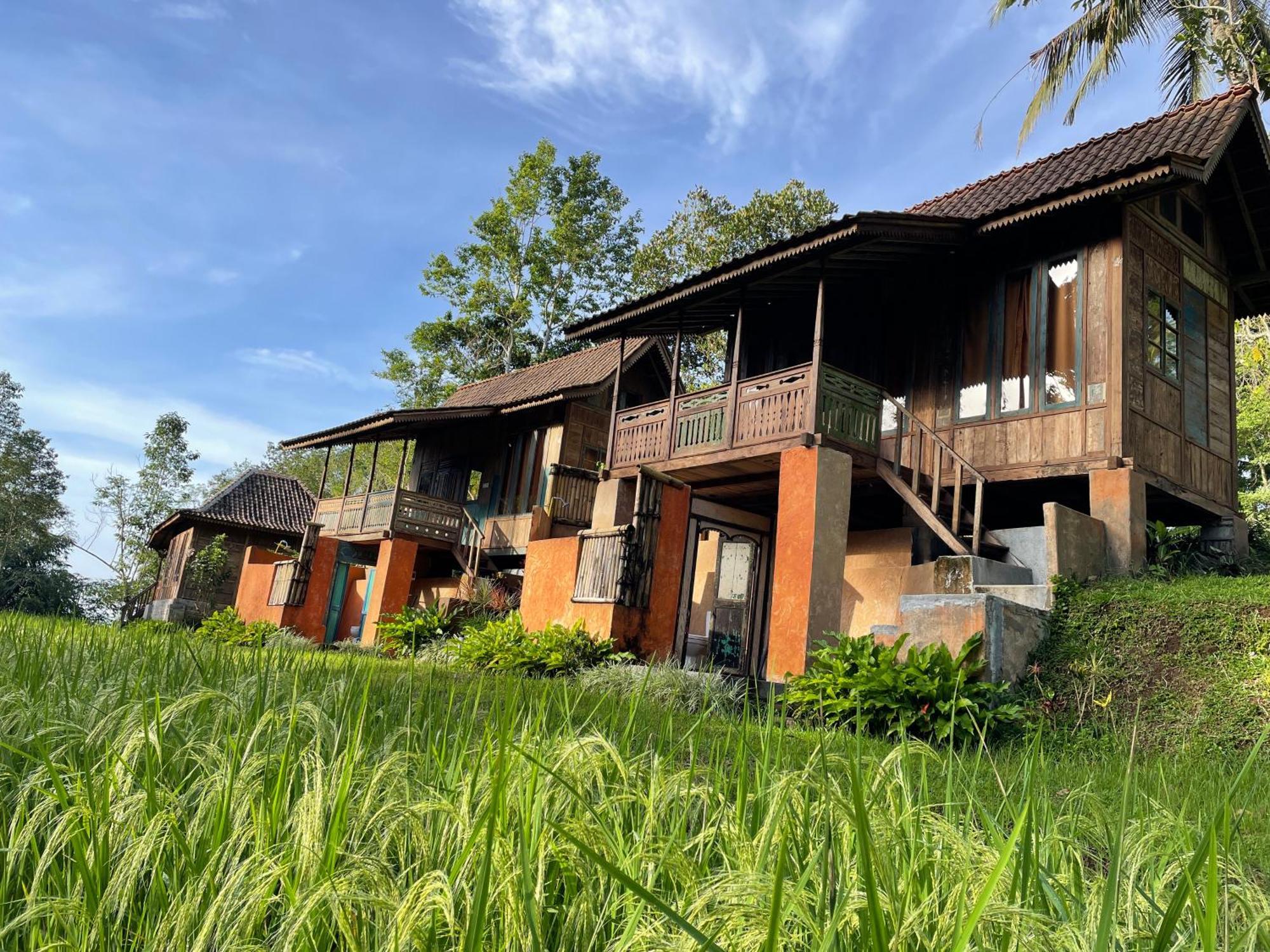 Vila Oemah Tepi Sawah Jatiluwih Exteriér fotografie