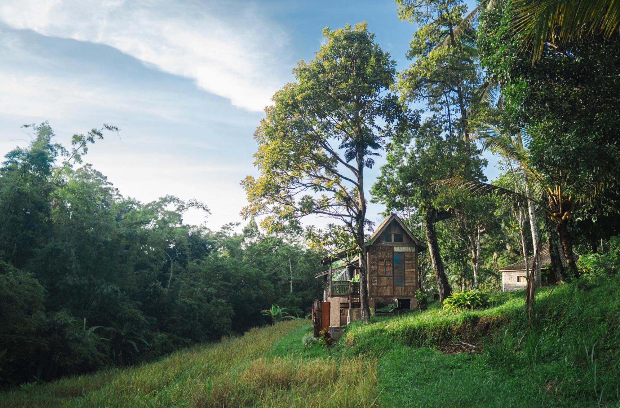 Vila Oemah Tepi Sawah Jatiluwih Exteriér fotografie